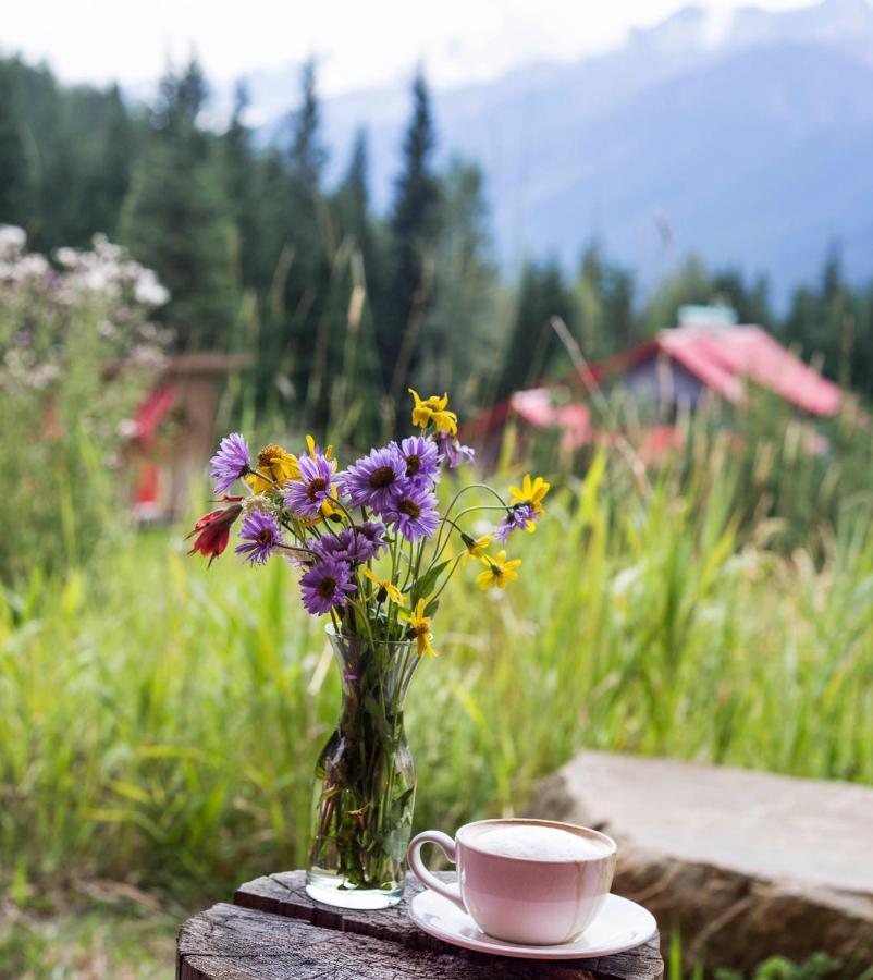 Heather Mountain Lodge Rogers Pass Ngoại thất bức ảnh